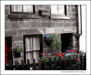 Holiday Cottage